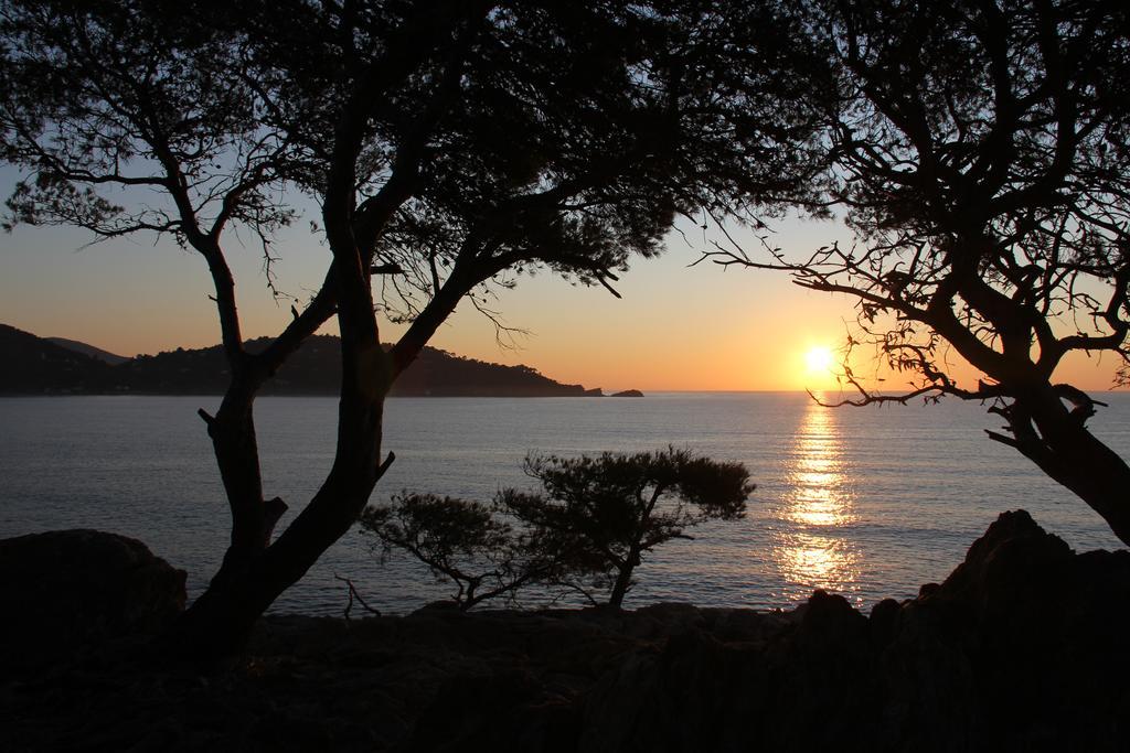 Auberge Du Cap Negre Le Lavandou Dış mekan fotoğraf