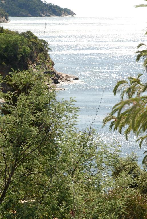 Auberge Du Cap Negre Le Lavandou Dış mekan fotoğraf