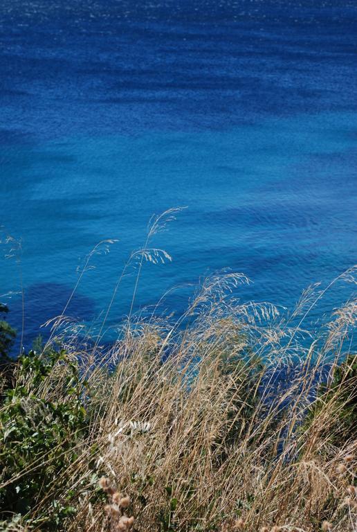 Auberge Du Cap Negre Le Lavandou Dış mekan fotoğraf